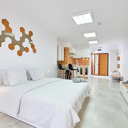 Aleksandrovi Apartament 布尔加斯