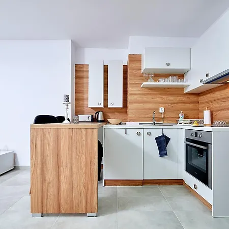 Aleksandrovi Apartament アパート